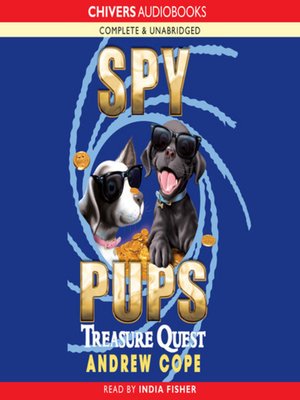 cover image of Treasure quest